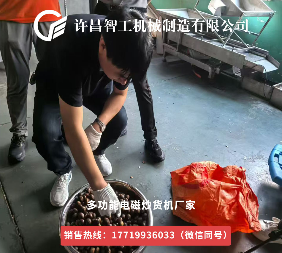 上海客戶來廠試機加工炒制板栗